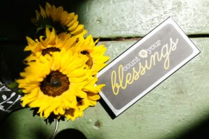 Read more about the article The Power of Blessing by Nita Kuehn