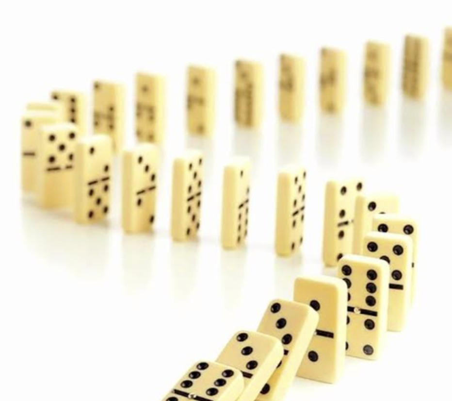 Read more about the article The Domino Effect by Tammy Barber