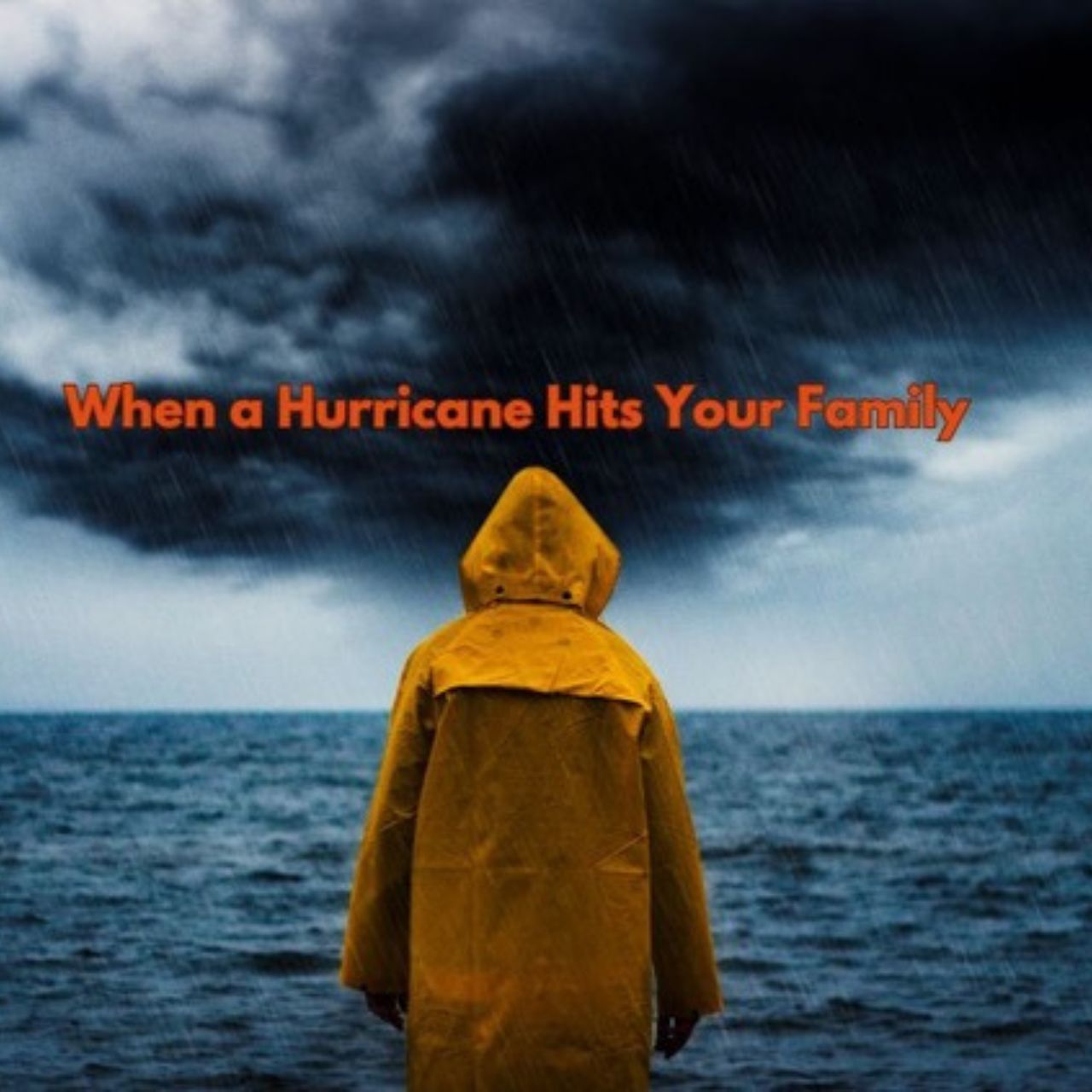 Read more about the article When a Hurricane Hits Your Family by Keeley Schafer