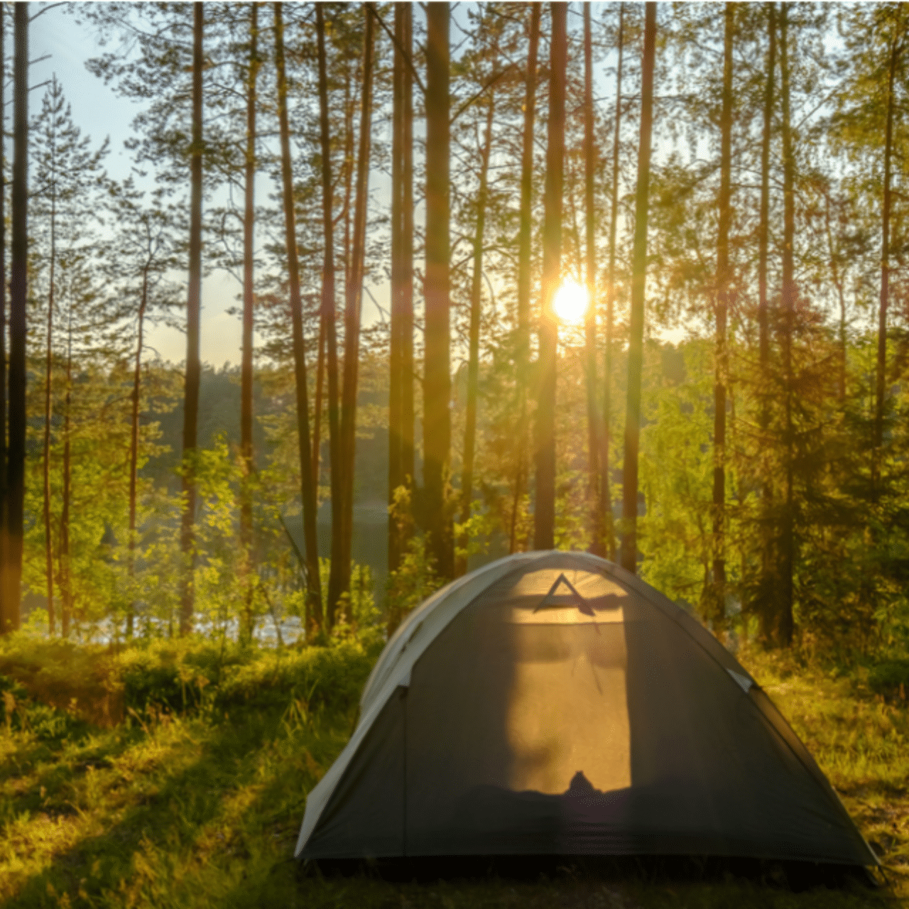 Read more about the article Camping With Jesus By Tammy Barber