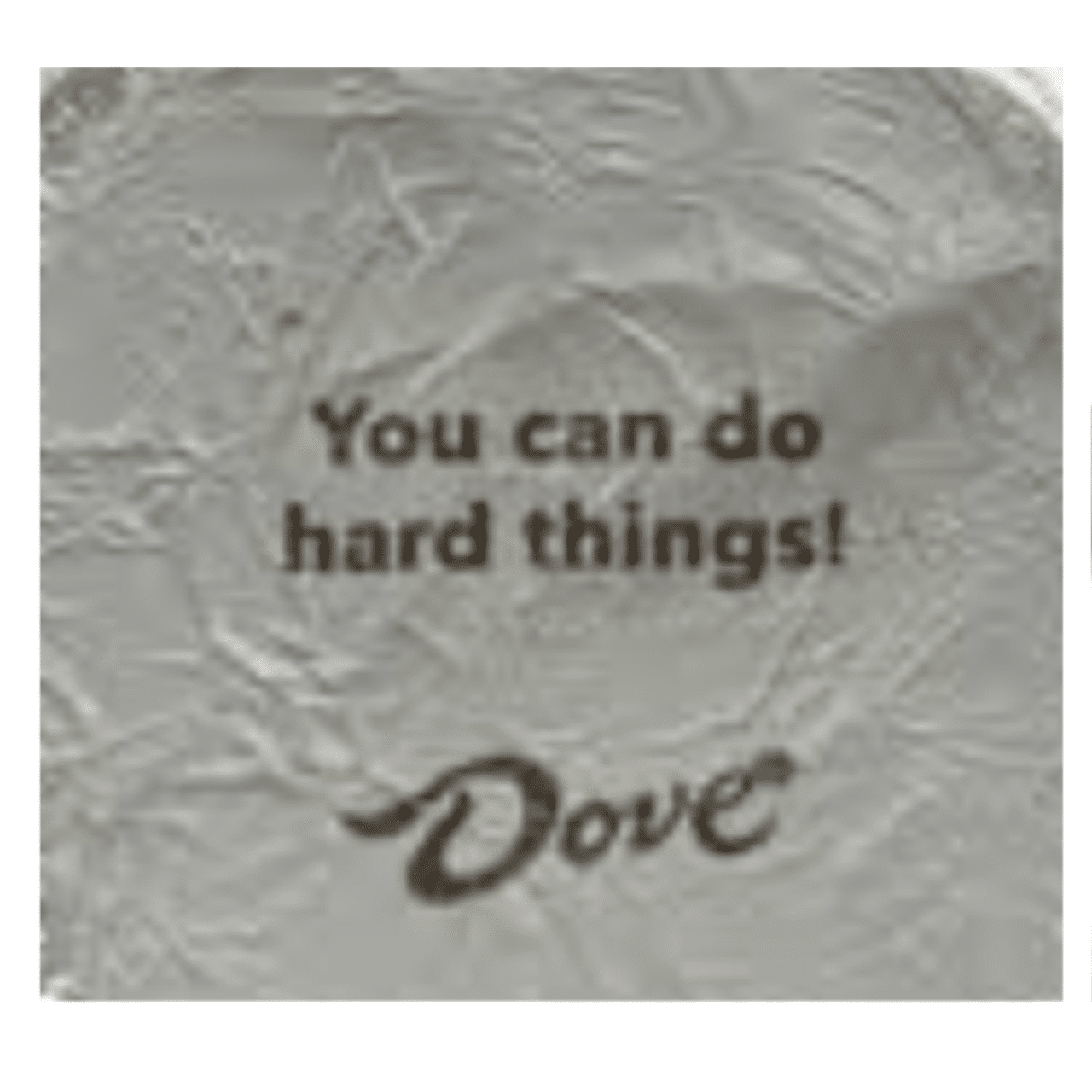 You Can Do Hard Things! By Tammy Barber